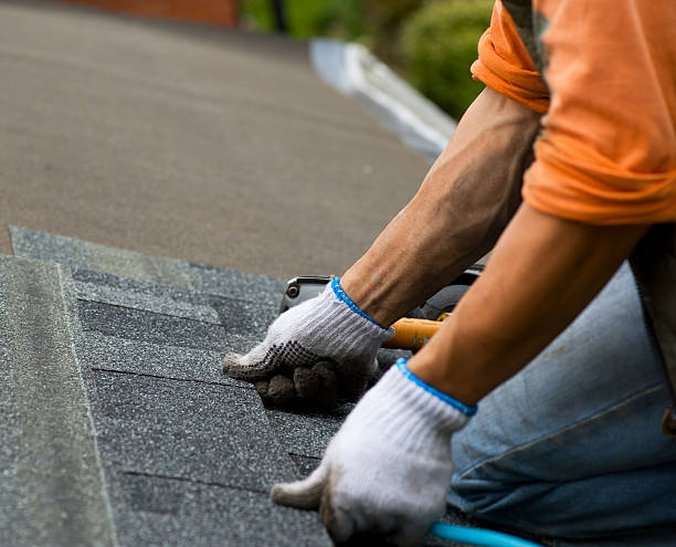 Best Shingle Roofing Installation  in Oak Point, TX